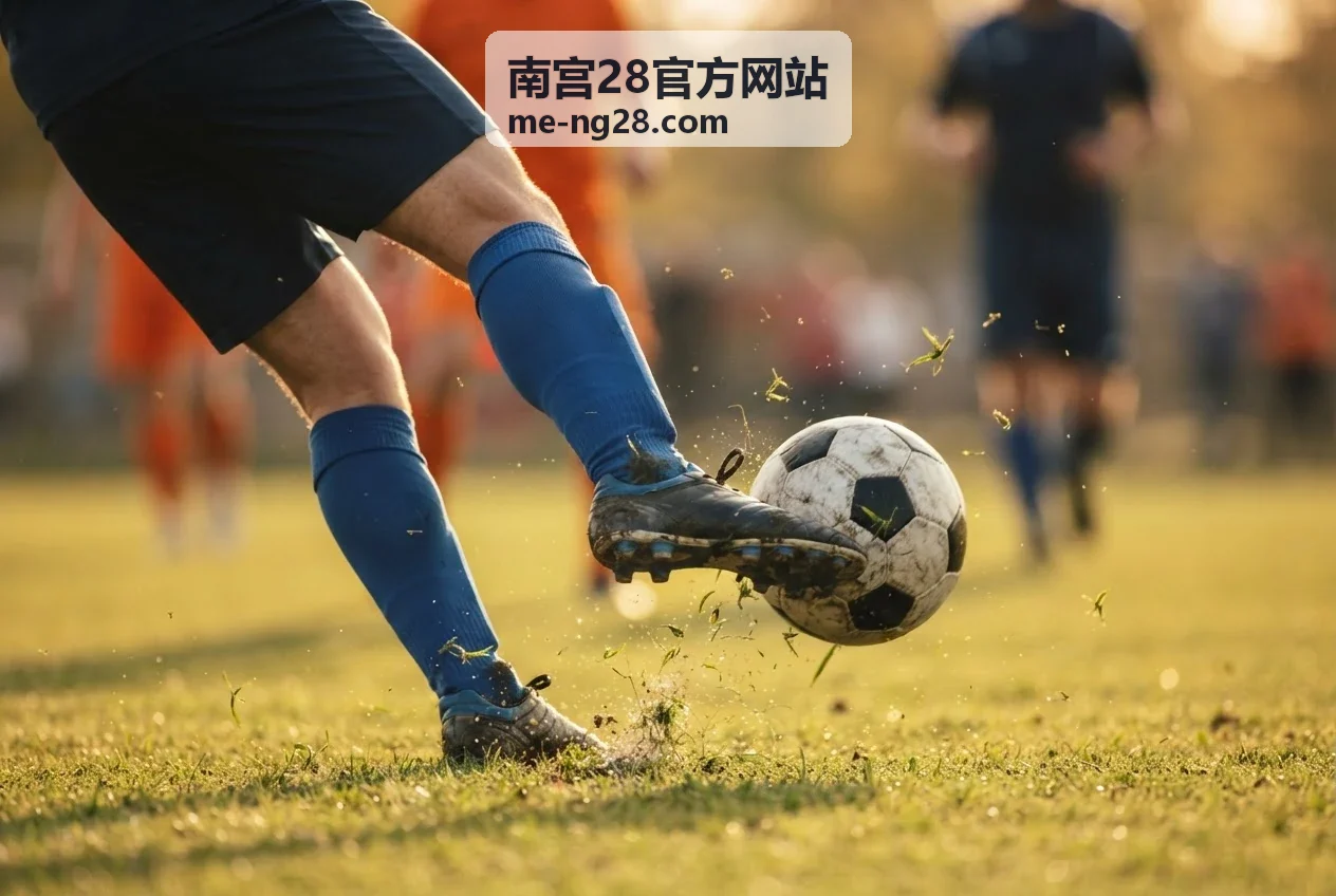南宫28官方网站平台展示封面图